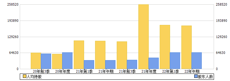 海南机场(600515)股东人数