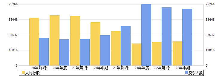 海南矿业(601969)股东人数